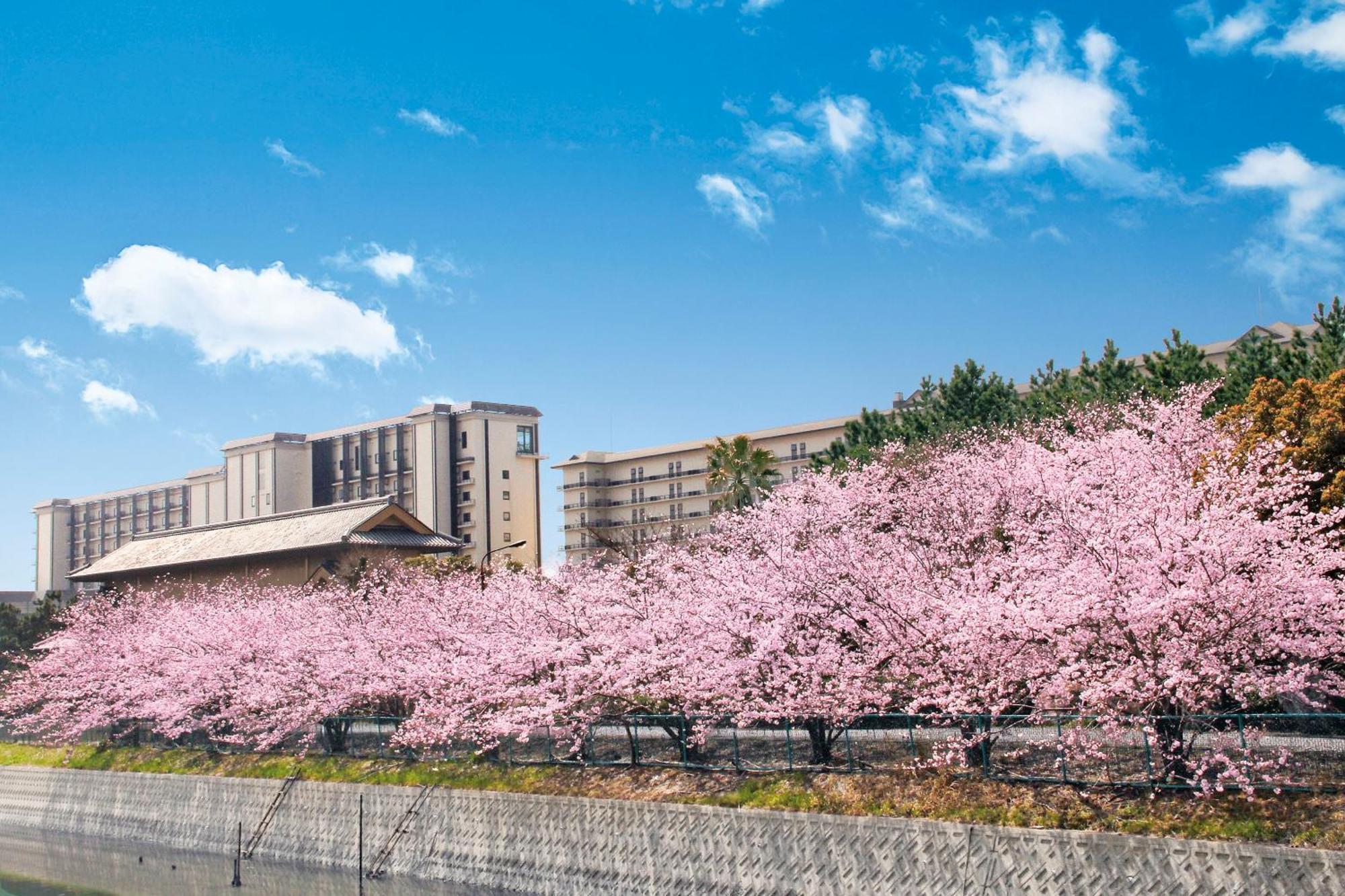 Ryugujo Spa Hotel Mikazuki Fujimitei Кисарадзу Экстерьер фото